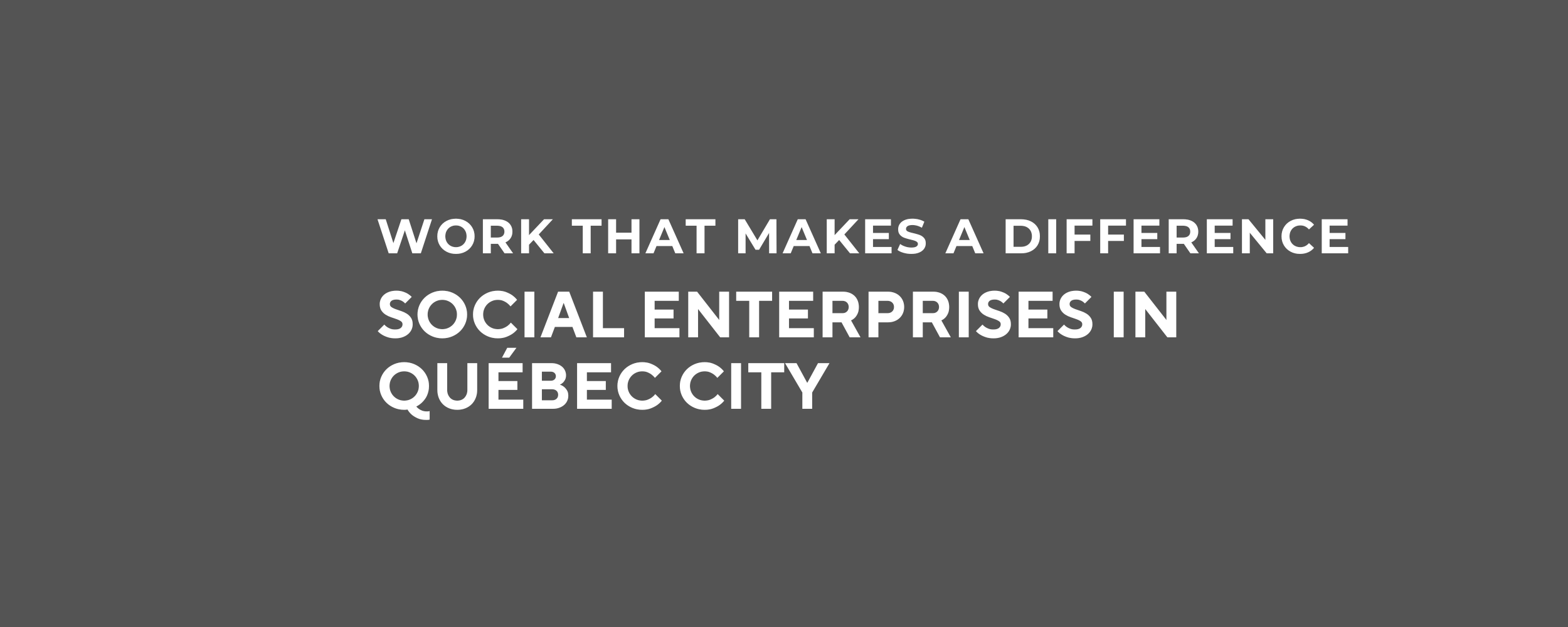 work-that-makes-a-difference-social-enterprises-in-qu-bec-city-seenet